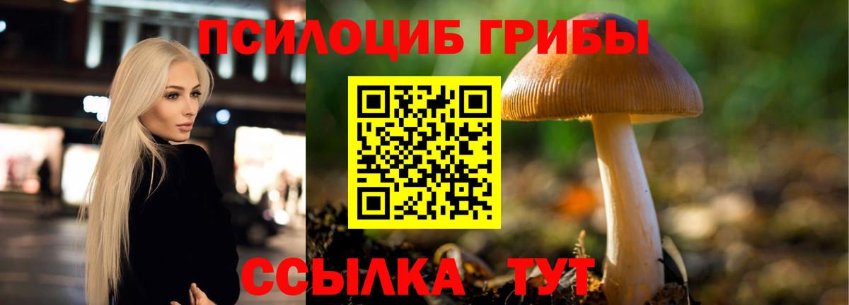 Псилоцибиновые грибы мицелий Солнечногорск